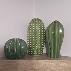 Set of 3 Ceramic Green Cactus
